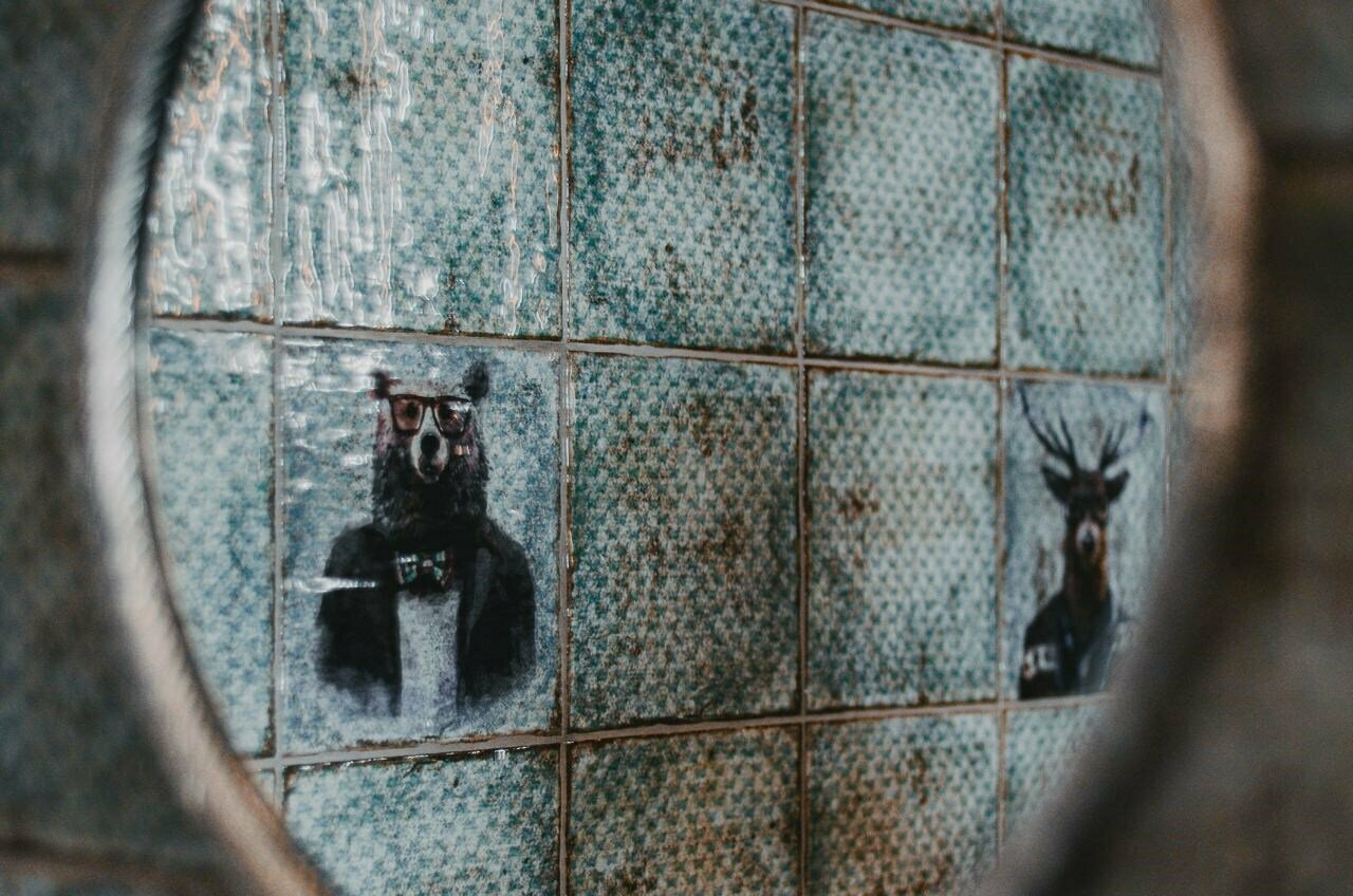 Гостиница Экотель Богородск Ногинск